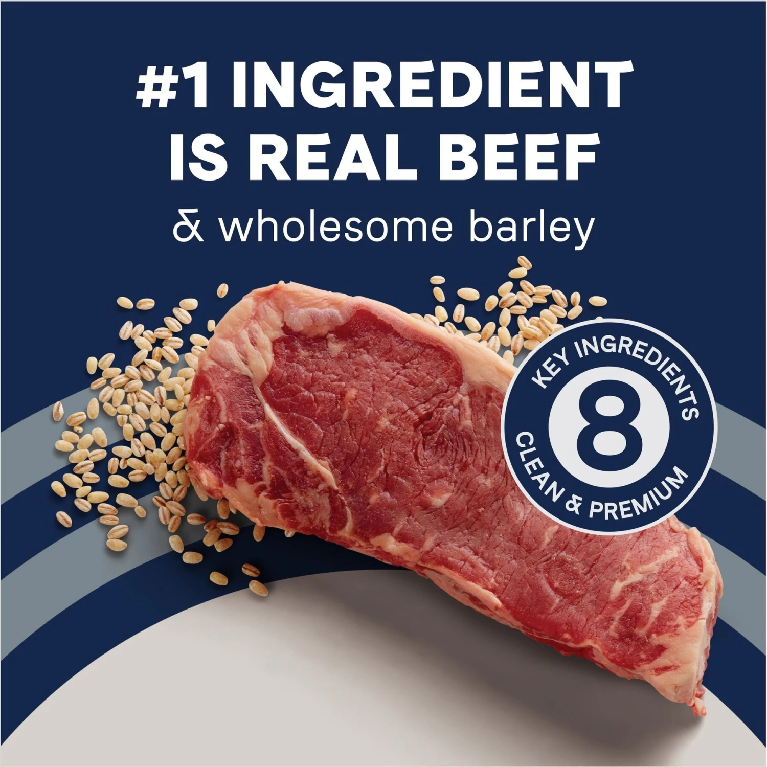 CANIDAE PURE With Wholesome Grains Real Beef & Barley Recipe Adult Dry Dog Food 7 CANIDAE PURE With Wholesome Grains Real Beef & Barley Recipe Adult Dry Dog Food - Image 5