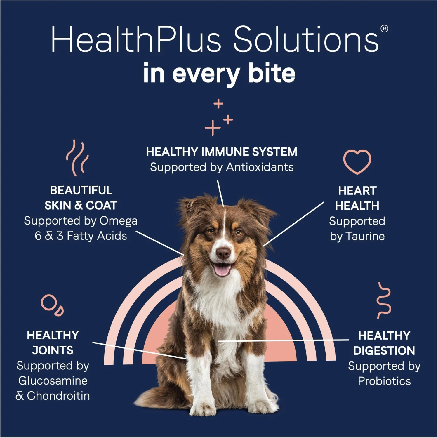 CANIDAE PURE With Wholesome Grains Real Beef & Barley Recipe Adult Dry Dog Food 9 CANIDAE PURE With Wholesome Grains Real Beef & Barley Recipe Adult Dry Dog Food - Image 7