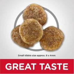 Hill's Science Diet Adult 7+ Small Bites Chicken Meal, Barley & Rice Recipe Dry Dog Food & Hill's Science Diet Adult 7+ Chicken & Barley Entree Canned Dog Food 12 Hill's Science Diet Adult 7+ Small Bites Chicken Meal, Barley & Rice Recipe Dry Dog Food & Hill's Science Diet Adult 7+ Chicken & Barley Entree Canned Dog Food -Blue Buffalo || ROYAL CANIN || Wellness Sales 298084 PT3. AC SS1800 V1621298551