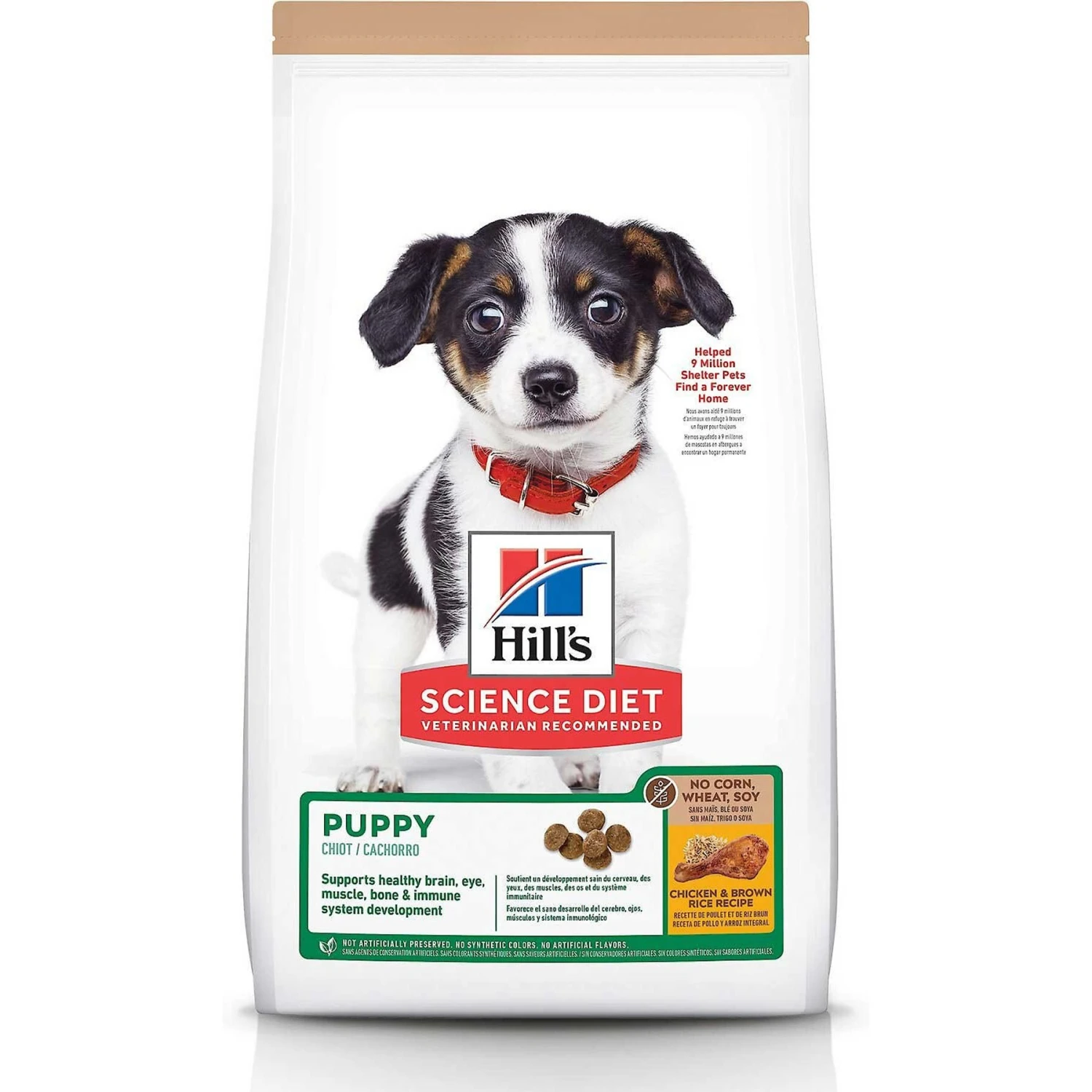 Hill's Science Diet Puppy Chicken & Brown Rice Recipe Dry Dog Food & N-Bone Puppy Teething Ring Chicken Flavor Dog Treats 4 Hill's Science Diet Puppy Chicken & Brown Rice Recipe Dry Dog Food & N-Bone Puppy Teething Ring Chicken Flavor Dog Treats - Image 2