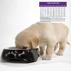 Wellness Complete Health Puppy Deboned Chicken, Oatmeal & Salmon Meal Recipe Dry Dog Food & Wellness Complete Health Just For Puppy Canned Dog Food -Blue Buffalo || ROYAL CANIN || Wellness Sales 298680 PT8. AC SS1800 V1691425673