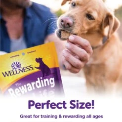 Wellness Complete Health Senior Deboned Chicken & Barley Recipe Dry Dog Food & Wellness Rewarding Life Beef & Turkey Grain-Free Soft & Chewy Natural Dog Treats -Blue Buffalo || ROYAL CANIN || Wellness Sales 298684 PT6. AC SS1800 V1678300376
