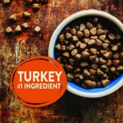 Wellness CORE Grain-Free Senior Deboned Turkey Recipe Dry Dog Food & Wellness CORE Healthy Joints Beef Grain-Free Crunchy Dog Treats 13 Wellness CORE Grain-Free Senior Deboned Turkey Recipe Dry Dog Food & Wellness CORE Healthy Joints Beef Grain-Free Crunchy Dog Treats -Blue Buffalo || ROYAL CANIN || Wellness Sales 298710 PT2. AC SS1800 V1621988240