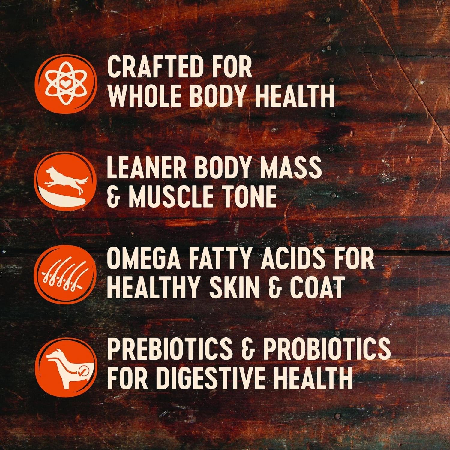 Wellness CORE Grain-Free Senior Deboned Turkey Recipe Dry Dog Food & Wellness CORE Healthy Joints Beef Grain-Free Crunchy Dog Treats 6 Wellness CORE Grain-Free Senior Deboned Turkey Recipe Dry Dog Food & Wellness CORE Healthy Joints Beef Grain-Free Crunchy Dog Treats - Image 4