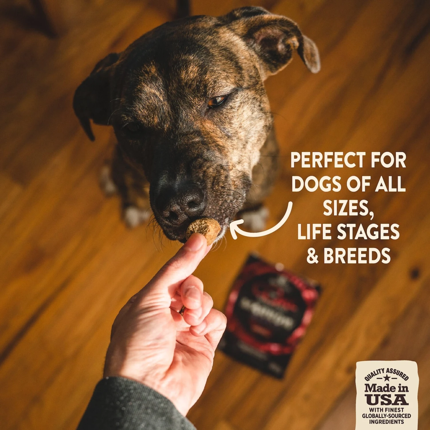 Wellness CORE Grain-Free Senior Deboned Turkey Recipe Dry Dog Food & Wellness CORE Healthy Joints Beef Grain-Free Crunchy Dog Treats 10 Wellness CORE Grain-Free Senior Deboned Turkey Recipe Dry Dog Food & Wellness CORE Healthy Joints Beef Grain-Free Crunchy Dog Treats - Image 8