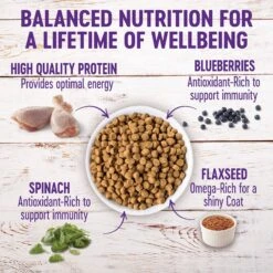 Wellness Large Breed Complete Health Puppy Deboned Chicken, Brown Rice & Salmon Meal Recipe Dry Dog Food & Wellness Complete Health Just For Puppy Canned Dog Food -Blue Buffalo || ROYAL CANIN || Wellness Sales 298728 PT7. AC SS1800 V1691425679