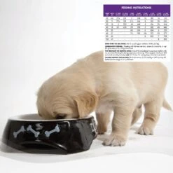 Wellness Large Breed Complete Health Puppy Deboned Chicken, Brown Rice & Salmon Meal Recipe Dry Dog Food & Wellness Complete Health Just For Puppy Canned Dog Food -Blue Buffalo || ROYAL CANIN || Wellness Sales 298728 PT8. AC SS1800 V1691425675