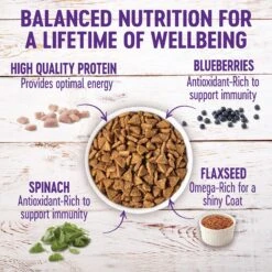 Wellness Small Breed Complete Health Senior Deboned Turkey & Peas Recipe Dry Dog Food & Wellness Complete Health Senior Formula Natural Canned Dog Food -Blue Buffalo || ROYAL CANIN || Wellness Sales 298752 PT7. AC SS1800 V1683664813