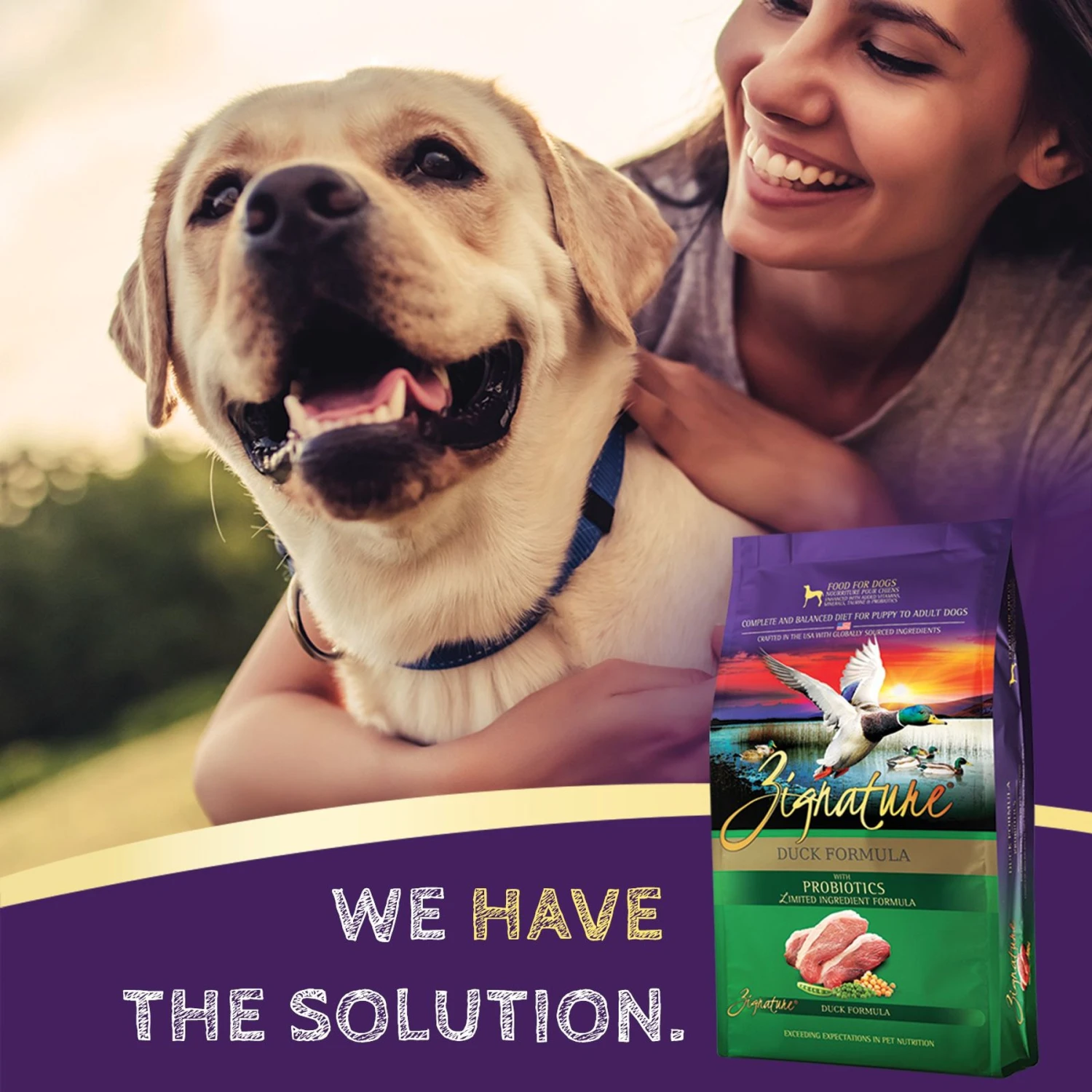 Zignature Duck Limited Ingredient Formula Dry Dog Food & Zignature Duck Formula Ziggy Bars Biscuit Dog Treats 7 Zignature Duck Limited Ingredient Formula Dry Dog Food & Zignature Duck Formula Ziggy Bars Biscuit Dog Treats - Image 5