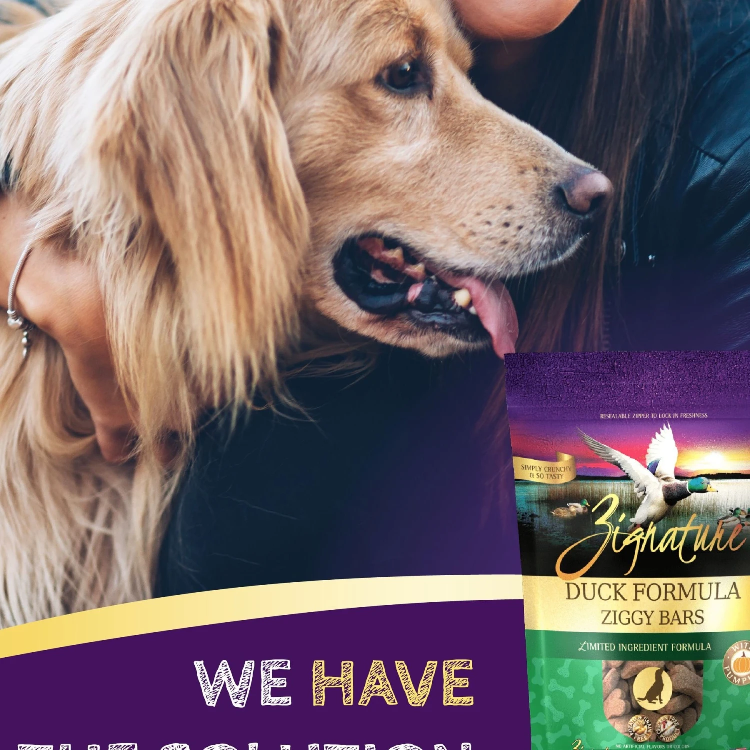 Zignature Duck Limited Ingredient Formula Dry Dog Food & Zignature Duck Formula Ziggy Bars Biscuit Dog Treats 11 Zignature Duck Limited Ingredient Formula Dry Dog Food & Zignature Duck Formula Ziggy Bars Biscuit Dog Treats - Image 9