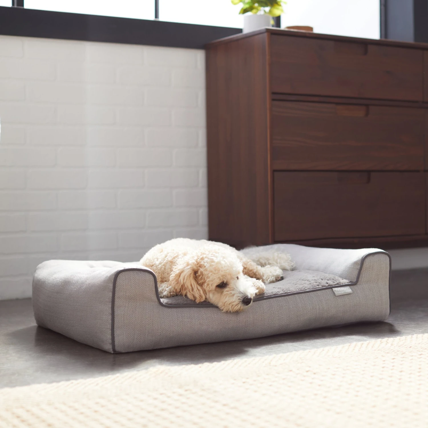 Frisco Herringbone Modern Couch Dog & Cat Bed 3 Frisco Herringbone Modern Couch Dog & Cat Bed