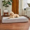 Frisco Ortho Lounger Dog & Cat Bed 1 Frisco Ortho Lounger Dog & Cat Bed -Blue Buffalo || ROYAL CANIN || Wellness Sales 299465 MAIN. AC SS1800 V1638288352