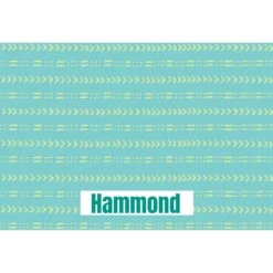 Frisco Mudcloth Personalized Dog & Cat Placemat -Blue Buffalo || ROYAL CANIN || Wellness Sales 299552 PT2. AC SS1800 V1636048646