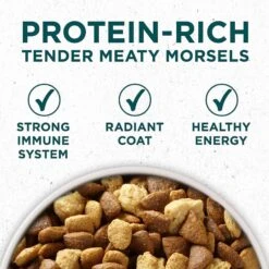 Purina ONE +Plus Natural Large Breed Formula Dry Puppy Food & Wellness Soft Puppy Bites Lamb & Salmon Recipe Grain-Free Natural Dog Treats 12 Purina ONE +Plus Natural Large Breed Formula Dry Puppy Food & Wellness Soft Puppy Bites Lamb & Salmon Recipe Grain-Free Natural Dog Treats -Blue Buffalo || ROYAL CANIN || Wellness Sales 302060 PT3. AC SS1800 V1622832139