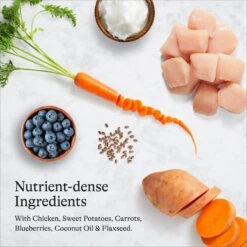 American Journey Senior Chicken & Sweet Potato Recipe Grain-Free Dry Dog Food & American Journey Poultry & Beef Variety Pack Grain-Free Canned Dog Food -Blue Buffalo || ROYAL CANIN || Wellness Sales 302326 PT8. AC SS1800 V1694613386
