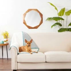 Frisco Sherpa Dog & Cat Blanket & Frisco Sherpa Hexagon Bolster Cat & Dog Bed 13 Frisco Sherpa Dog & Cat Blanket & Frisco Sherpa Hexagon Bolster Cat & Dog Bed -Blue Buffalo || ROYAL CANIN || Wellness Sales 303598 PT3. AC SS1800 V1623082359