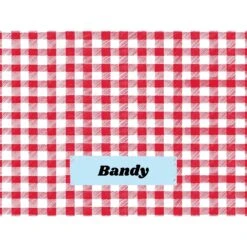 Frisco Personalized Gingham Plaid Soft Fleece Cat & Dog Blanket, 30" X 40" -Blue Buffalo || ROYAL CANIN || Wellness Sales 304001 PT4. AC SS1800 V1637609279