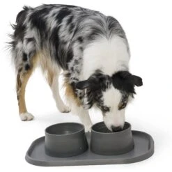 West Paw Seaflex Dog & Cat Placemat 8 West Paw Seaflex Dog & Cat Placemat -Blue Buffalo || ROYAL CANIN || Wellness Sales 305338 PT2. AC SS1800 V1622848089