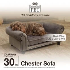 Enchanted Home Pet Chester Sofa Cat & Dog Bed -Blue Buffalo || ROYAL CANIN || Wellness Sales 305371 PT4. AC SS1800 V1623288756