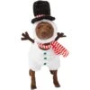 Frisco Front Walking Snowman Dog & Cat Costume -Blue Buffalo || ROYAL CANIN || Wellness Sales 306569 MAIN. AC SS1800 V1631662394