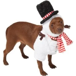 Frisco Front Walking Snowman Dog & Cat Costume -Blue Buffalo || ROYAL CANIN || Wellness Sales 306569 PT3. AC SS1800 V1631660597