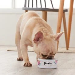 Frisco Personalized Rustic Ceramic Dog & Cat Bowl 9 Frisco Personalized Rustic Ceramic Dog & Cat Bowl -Blue Buffalo || ROYAL CANIN || Wellness Sales 306763 PT4. AC SS1800 V1639518086