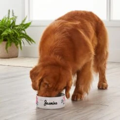 Frisco Personalized Rustic Ceramic Dog Bowl, 4.75-cup, 38oz -Blue Buffalo || ROYAL CANIN || Wellness Sales 306764 PT4. AC SS1800 V1639518092