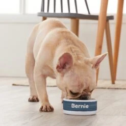 Frisco Heathered Personalized Dog & Cat Bowl 11 Frisco Heathered Personalized Dog & Cat Bowl -Blue Buffalo || ROYAL CANIN || Wellness Sales 306766 PT4. AC SS1800 V1639518097