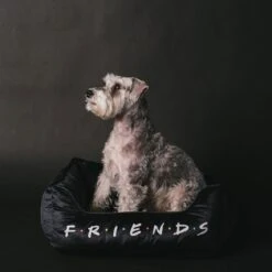 Buckle-Down Friends Bolster Dog Bed -Blue Buffalo || ROYAL CANIN || Wellness Sales 306912 PT3. AC SS1800 V1657656801