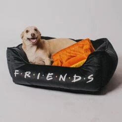 Buckle-Down Friends Bolster Dog Bed -Blue Buffalo || ROYAL CANIN || Wellness Sales 306912 PT4. AC SS1800 V1657656801