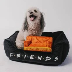 Buckle-Down Friends Bolster Dog Bed -Blue Buffalo || ROYAL CANIN || Wellness Sales 306912 PT5. AC SS1800 V1657656801