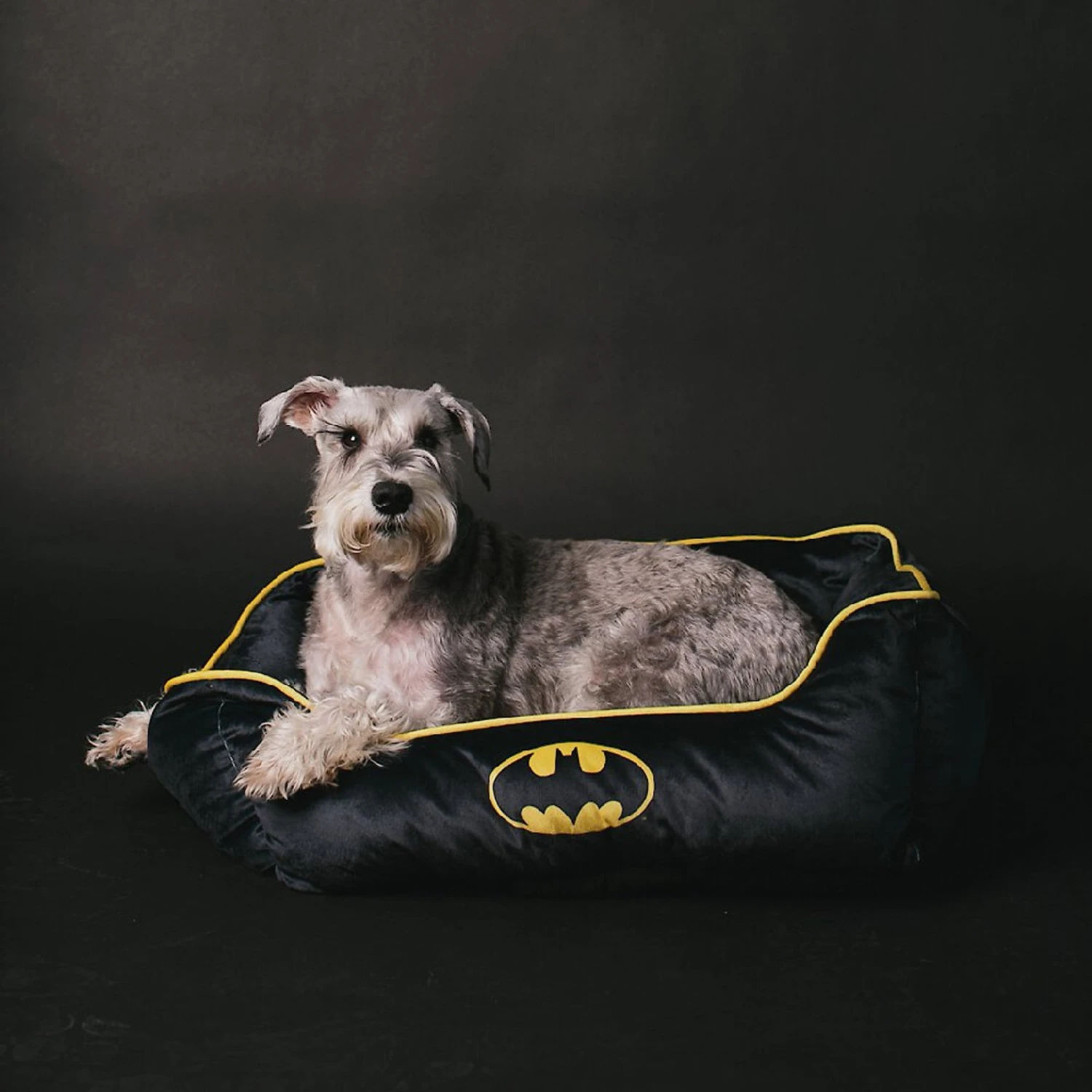 Buckle-Down Batman Bolster Dog Bed 7 Buckle-Down Batman Bolster Dog Bed - Image 5