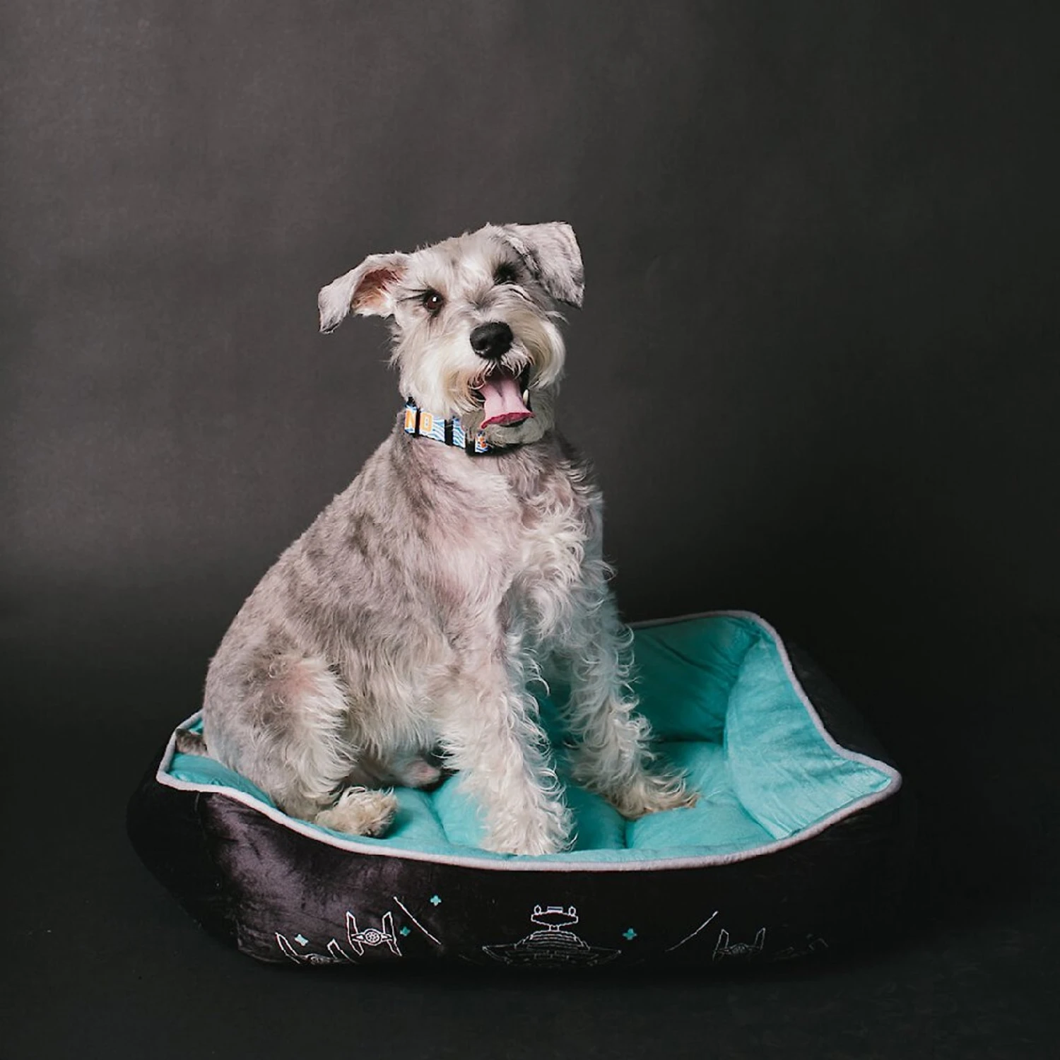 Buckle-Down Star Wars Imperial Fleet Bolster Dog Bed 7 Buckle-Down Star Wars Imperial Fleet Bolster Dog Bed - Image 5