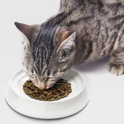 CatGuru Dog & Cat Food Bowls -Blue Buffalo || ROYAL CANIN || Wellness Sales 308473 PT5. AC SS1800 V1649104312