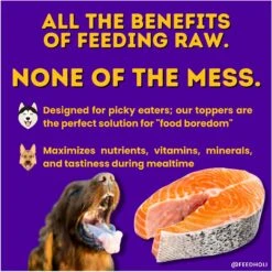 HOLI Wild Caught Salmon Protein Pack Grain-Free Freeze-Dried Dog Food Topper -Blue Buffalo || ROYAL CANIN || Wellness Sales 308507 PT3. AC SS1800 V1693947500