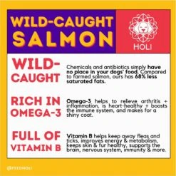 HOLI Wild Caught Salmon Protein Pack Grain-Free Freeze-Dried Dog Food Topper -Blue Buffalo || ROYAL CANIN || Wellness Sales 308507 PT5. AC SS1800 V1693947966