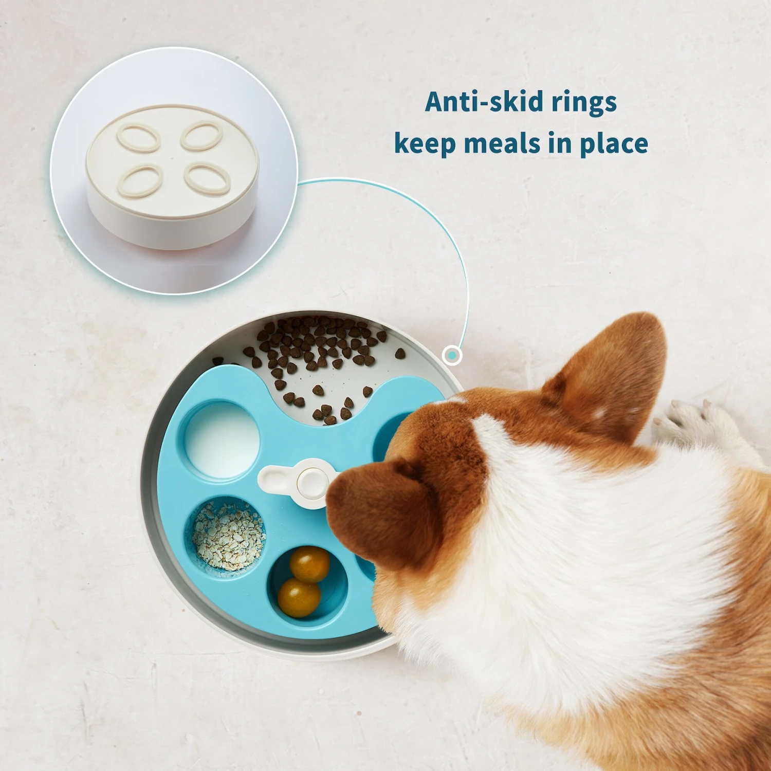 Pet Dream House SPIN Medium Level Palette Non-Skid Plastic Interactive Slow Feeder Dog Bowl, Blue 7 Pet Dream House SPIN Medium Level Palette Non-Skid Plastic Interactive Slow Feeder Dog Bowl, Blue - Image 5