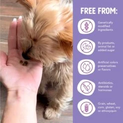 Health Extension Little Bites Grain-Free Salmon Recipe Dry Dog Food 13 Health Extension Little Bites Grain-Free Salmon Recipe Dry Dog Food -Blue Buffalo || ROYAL CANIN || Wellness Sales 308792 PT5. AC SS1800 V1625004165