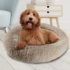 Canine Creations Donut Orthopedic Bolster Dog Bed 1 Canine Creations Donut Orthopedic Bolster Dog Bed -Blue Buffalo || ROYAL CANIN || Wellness Sales 311041 MAIN. AC SS1800 V1638313643