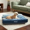 Frisco Personalized Navy Bolstered Bed With Navy Check Bolster -Blue Buffalo || ROYAL CANIN || Wellness Sales 311766 MAIN. AC SS1800 V1633102642