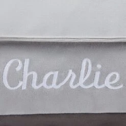 Frisco Personalized Silver Bolstered Bed With Silver Check Bolster, X-Large -Blue Buffalo || ROYAL CANIN || Wellness Sales 311772 PT3. AC SS1800 V1630594010