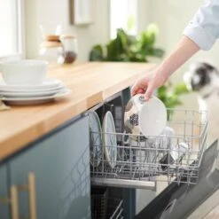 Frisco Animal Design Stainless Steel Dog & Cat Bowl -Blue Buffalo || ROYAL CANIN || Wellness Sales 311960 PT7. AC SS1800 V1642543141