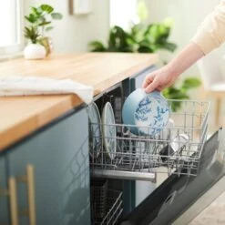 Frisco Coral Design Stainless Steel Dog & Cat Bowl 17 Frisco Coral Design Stainless Steel Dog & Cat Bowl -Blue Buffalo || ROYAL CANIN || Wellness Sales 311972 PT7. AC SS1800 V1642543254