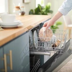 Frisco Copper Print Design Stainless Steel Dog & Cat Bowl 17 Frisco Copper Print Design Stainless Steel Dog & Cat Bowl -Blue Buffalo || ROYAL CANIN || Wellness Sales 311975 PT7. AC SS1800 V1642543284