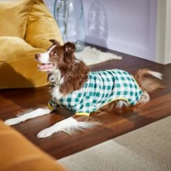 Frisco Boho Gingham Dog & Cat PJs -Blue Buffalo || ROYAL CANIN || Wellness Sales 312272 PT8. AC SS1800 V1644880063
