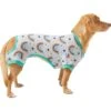 Frisco Rainbow Dog & Cat PJs -Blue Buffalo || ROYAL CANIN || Wellness Sales 312283 MAIN. AC SS1800 V1644879907