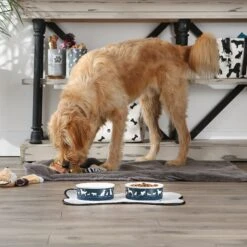Bone Dry Show Set Dog Bowl -Blue Buffalo || ROYAL CANIN || Wellness Sales 313437 PT4. AC SS1800 V1631776449