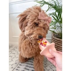 Diggs Groov Dog Crate Training Tool -Blue Buffalo || ROYAL CANIN || Wellness Sales 313514 PT7. AC SS1800 V1627303017