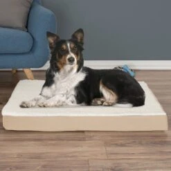 Pet Adobe Memory Foam Orthopedic Bolster Dog Bed With Removable Cover -Blue Buffalo || ROYAL CANIN || Wellness Sales 314902 PT5. AC SS1800 V1626397929