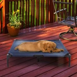 Pet Adobe Steel Frame Elevated Dog Bed -Blue Buffalo || ROYAL CANIN || Wellness Sales 314921 PT5. AC SS1800 V1626393704